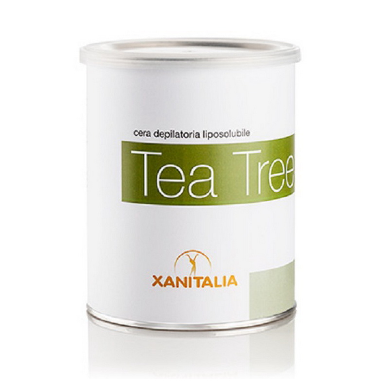 hairwax-xanitalia-vase-tea-tree