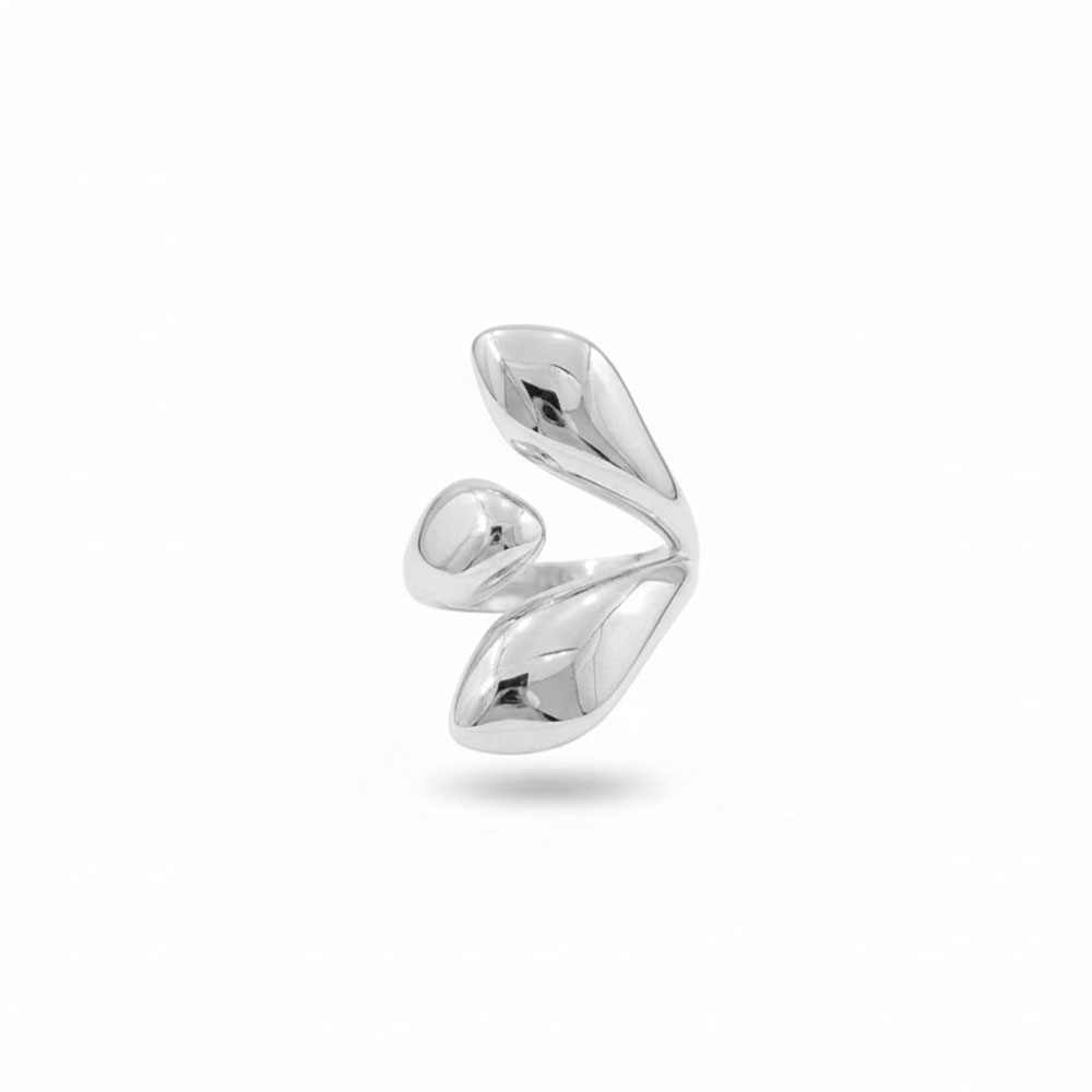 X00460-silver2